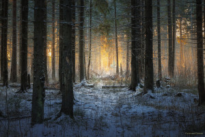 2026世界杯阵容谍照泄露,引爆球迷热情 2026世界杯阵容谍照泄露,引爆球迷热情